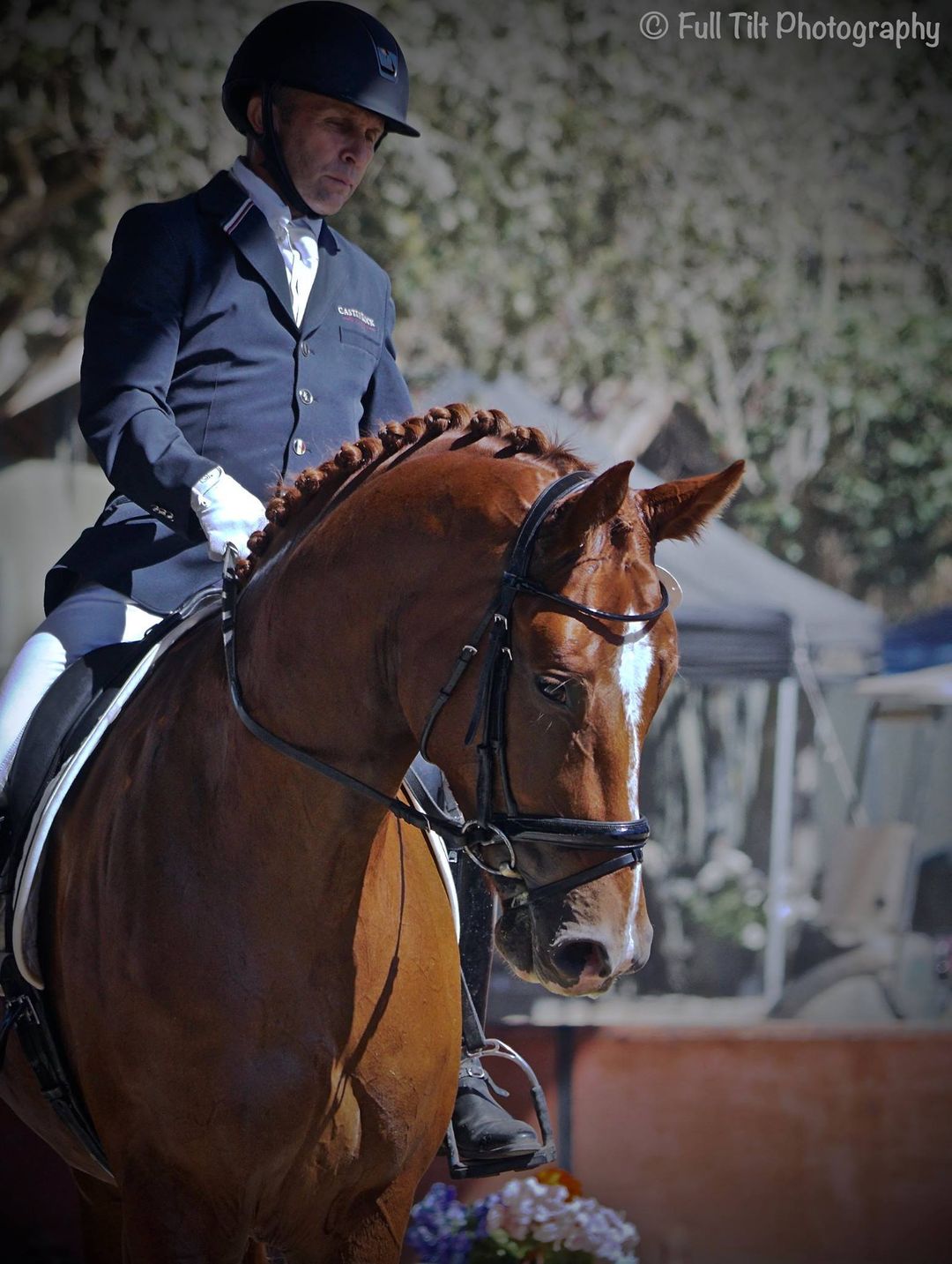 Horse & rider | Eventing