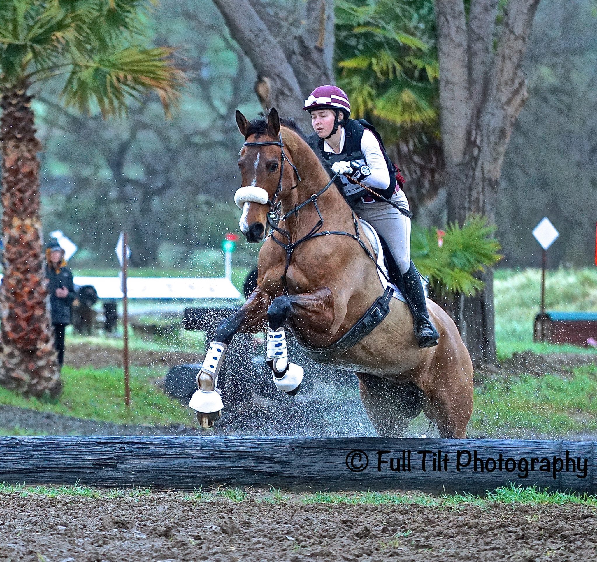 the-great-debate-to-look-for-a-distance-or-focus-on-the-quality-of-the-canter-when-jumping