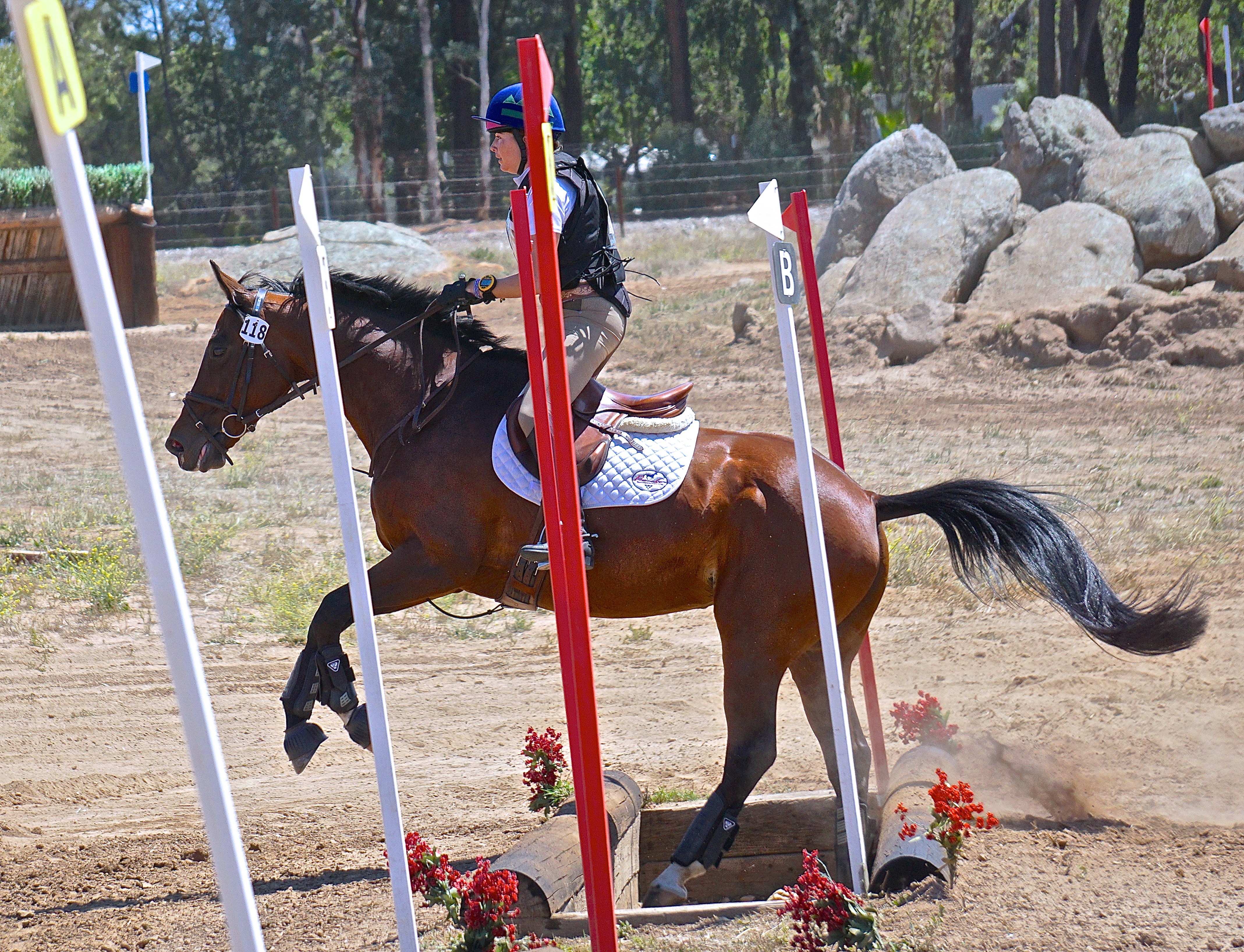 Horse puts feet in ditch