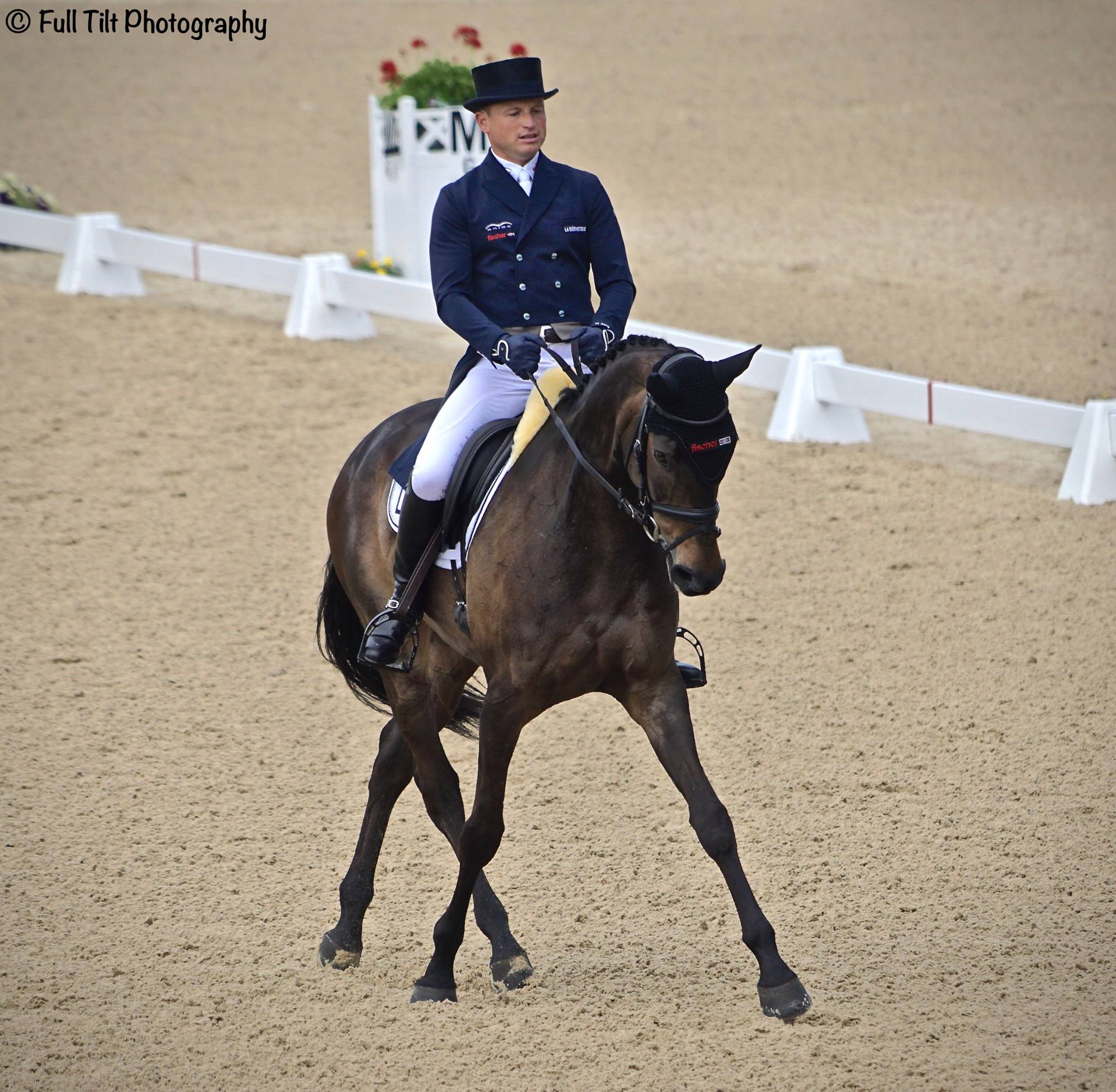 Half pass in Dressage | Eventing