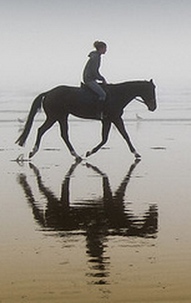 guest-blog-82-horses-as-mirrors-by-deanna-selioutski