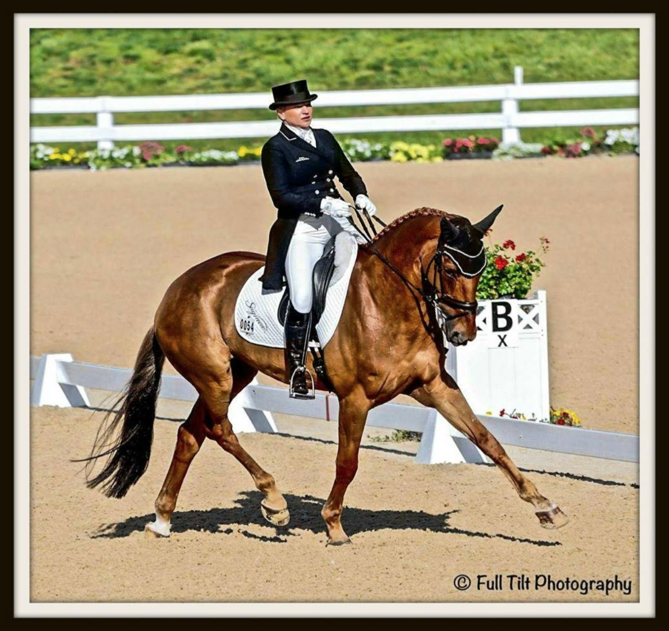 Extended Trot | Eventing
