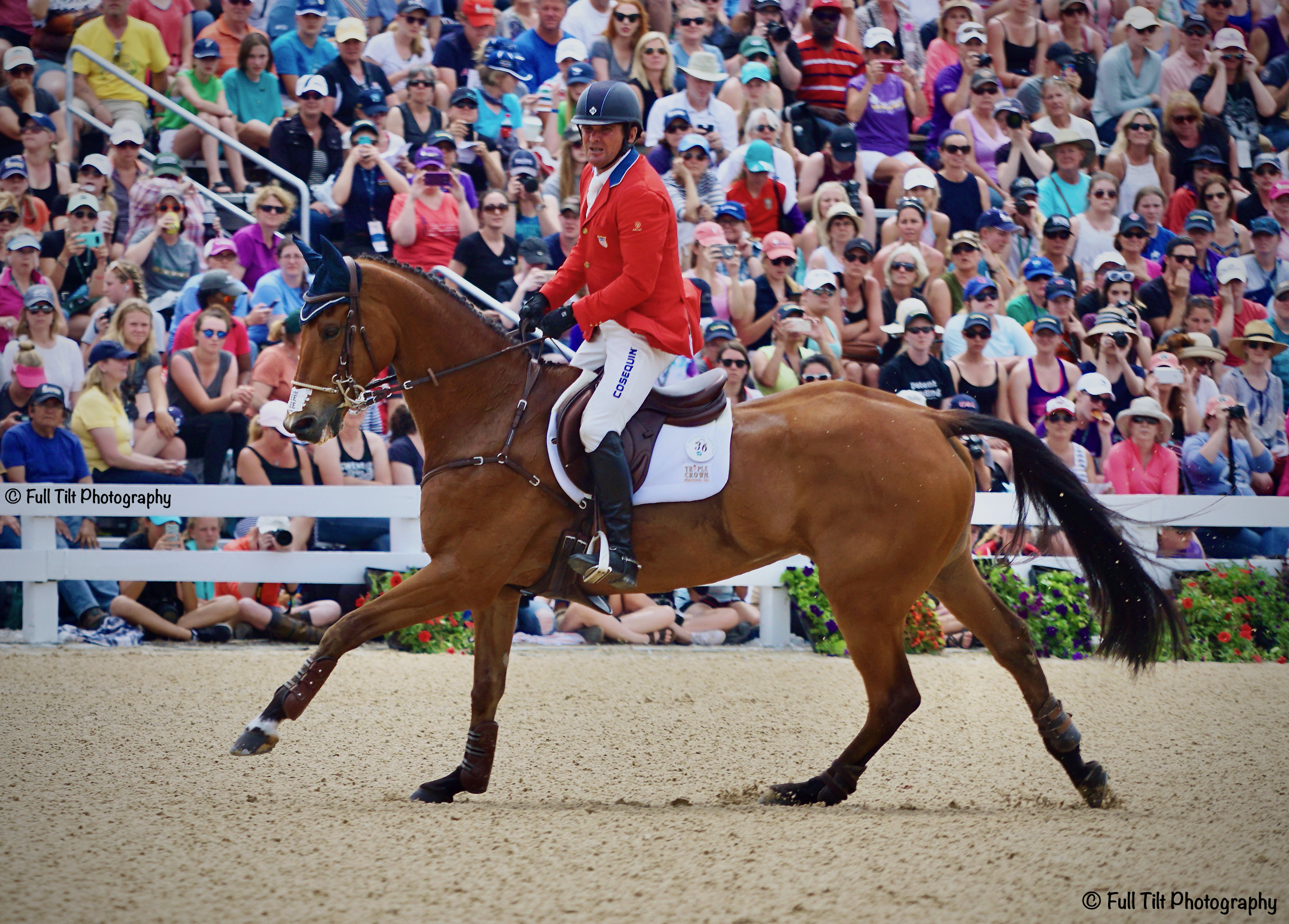 Show Jumping | Eventing