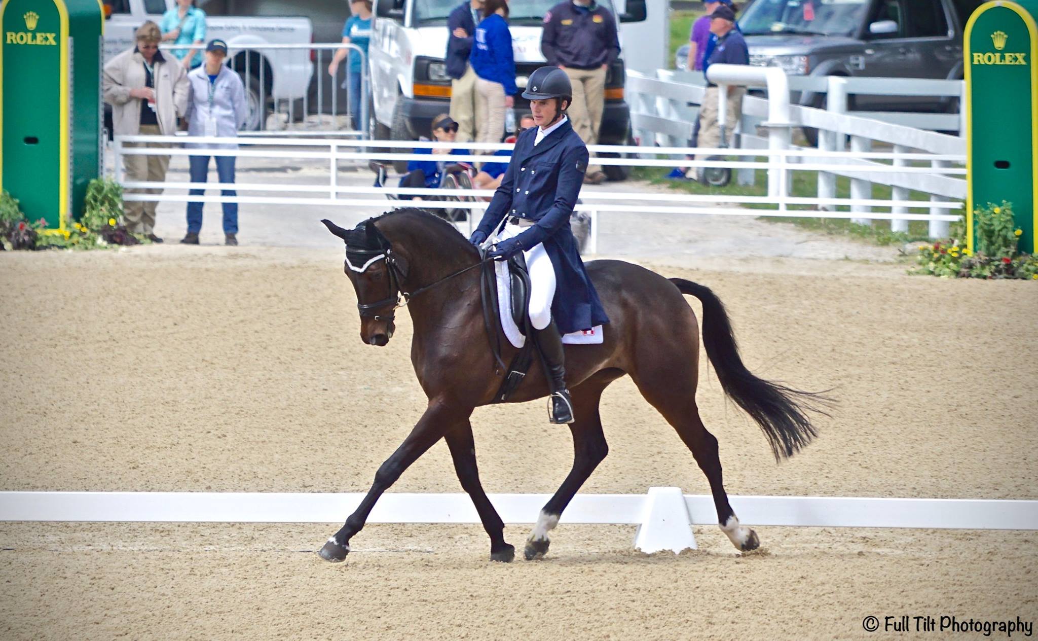 Dressage trot