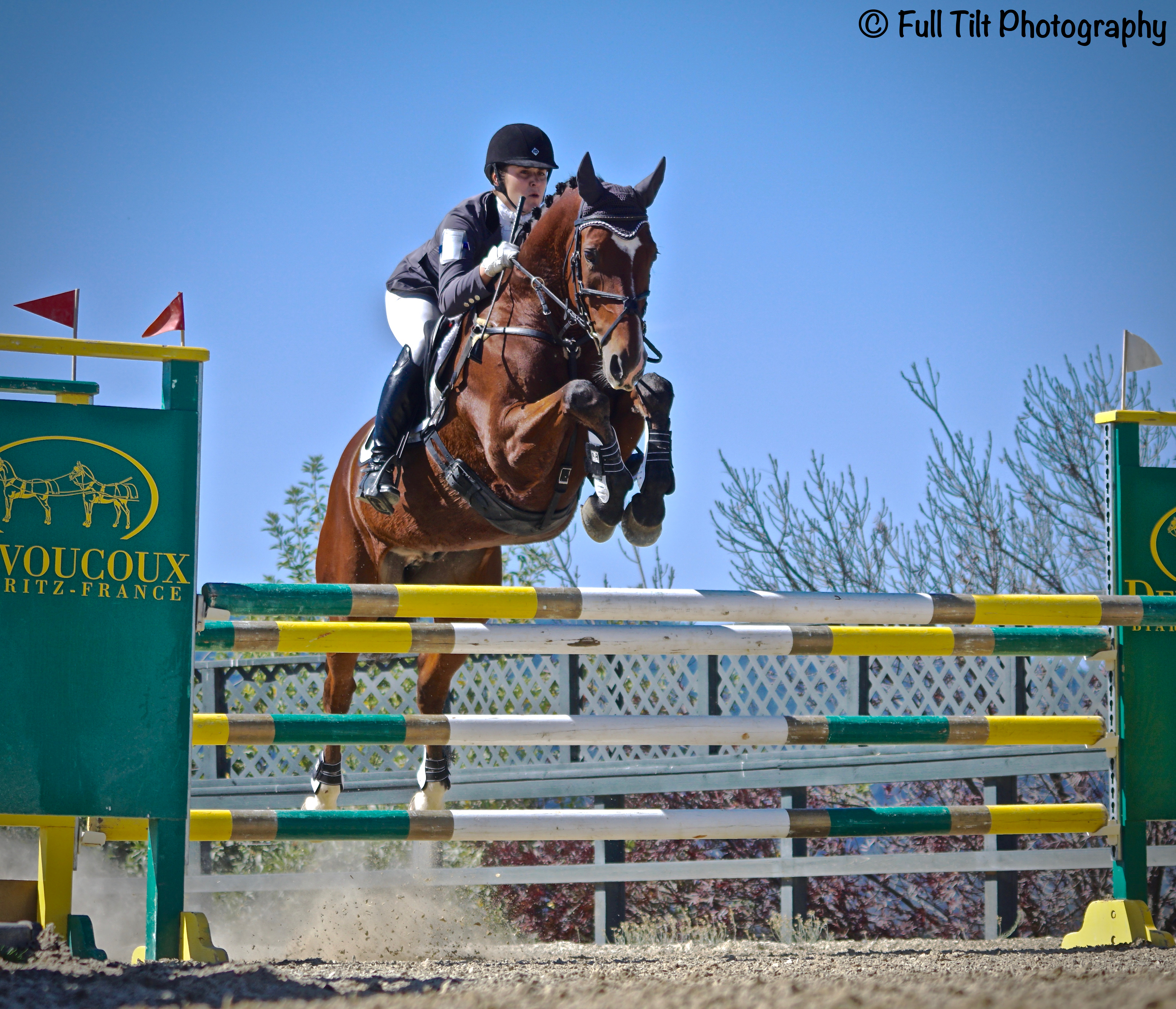 Show Jumping | Eventing