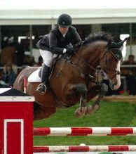 Show Jumper Show Jumper