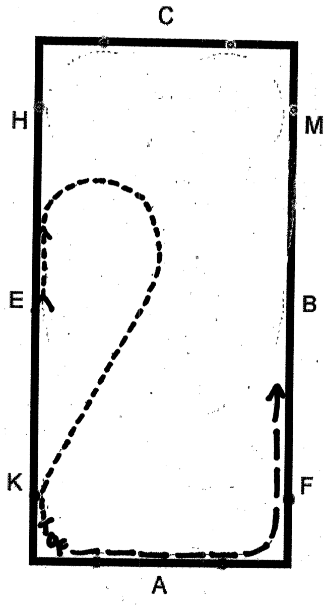 basic suppling exercise