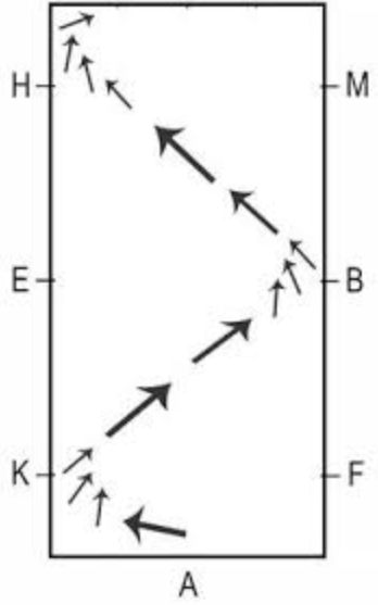 Turn on the forehand suppling exercise