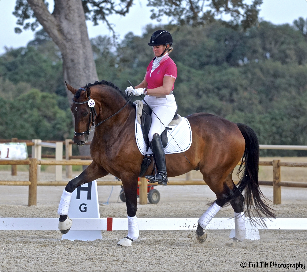 Dressage warm up | Eventing