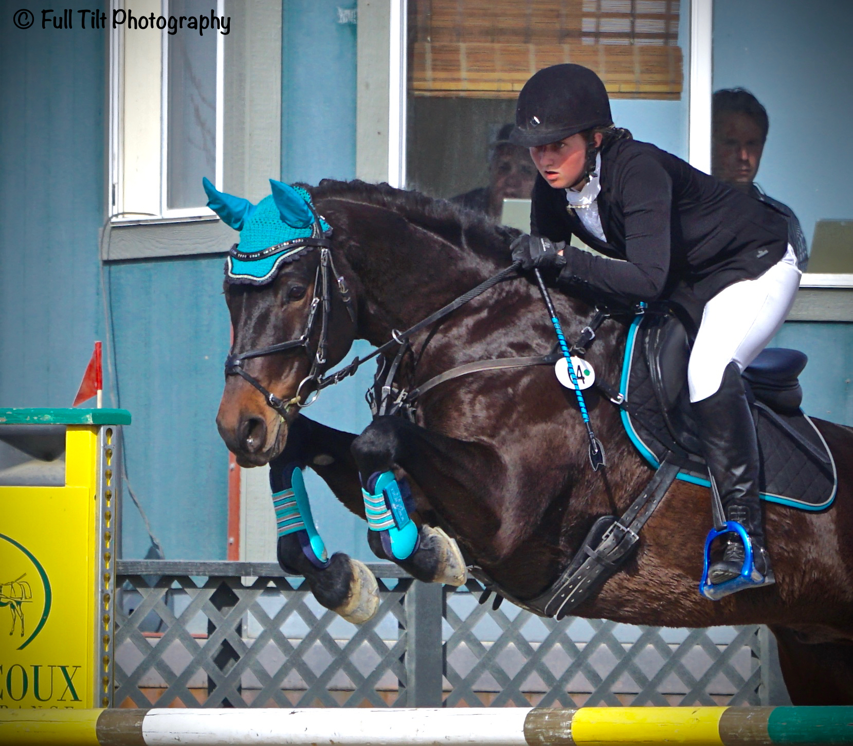 horse show jumping close up