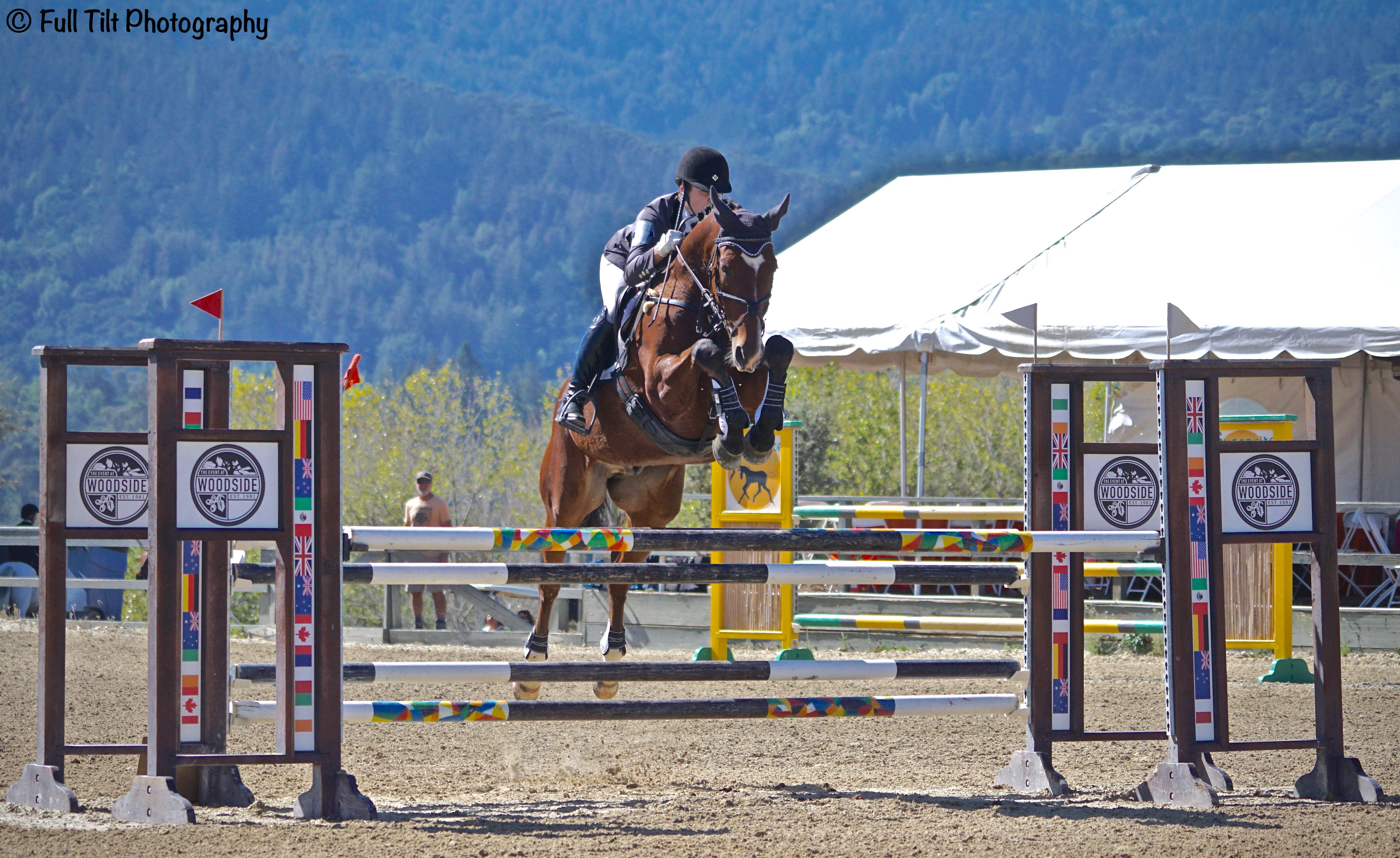 Show Jumping | Eventing